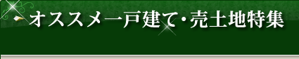 �I�X�X����ˌ��āE���y�n���W